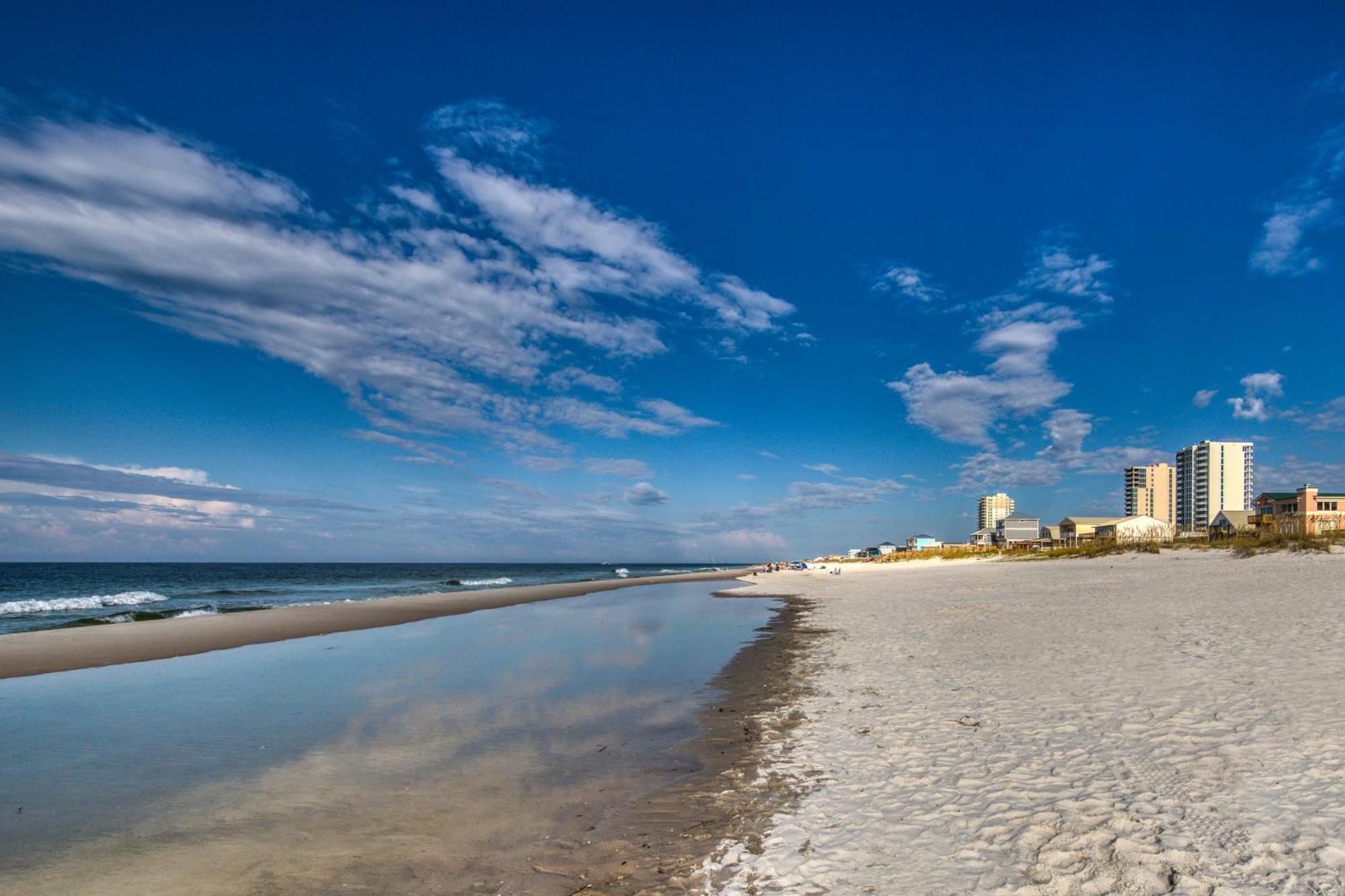 Gulf Shores Surf & Racquet Club Condos II Oda fotoğraf